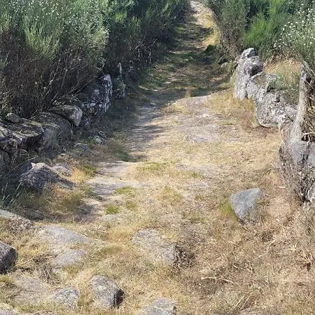 Casinhas Da Eira Caramulo Дом отдыха