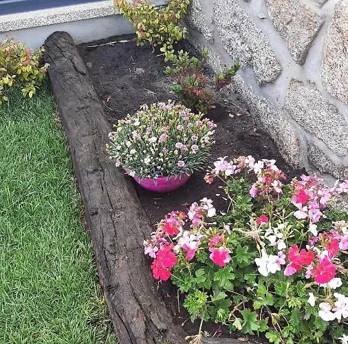 Casinhas Da Eira Caramulo بيت للعطل