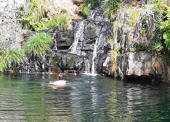 Casinhas Da Eira Caramulo *