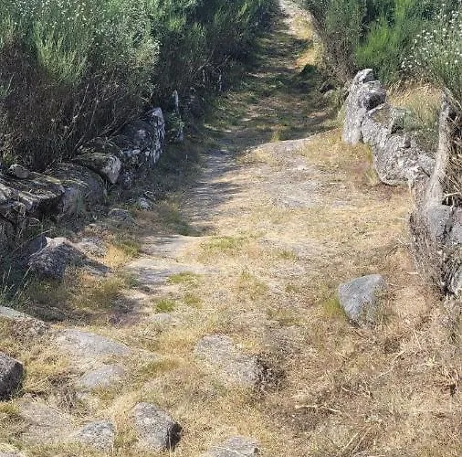 Casinhas Da Eira Caramulo بيت للعطل